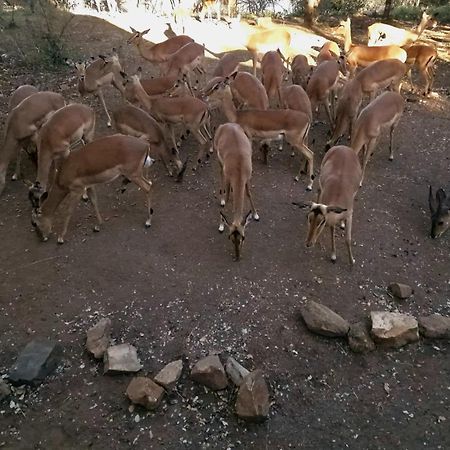 Injabulo Βίλα Marloth Park Εξωτερικό φωτογραφία