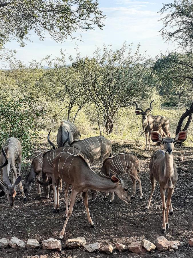 Injabulo Βίλα Marloth Park Εξωτερικό φωτογραφία