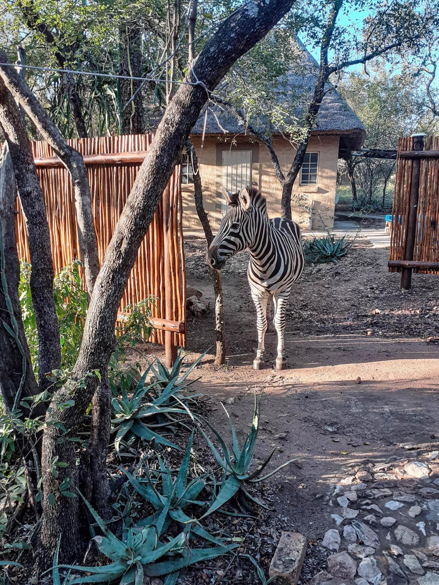 Injabulo Βίλα Marloth Park Δωμάτιο φωτογραφία